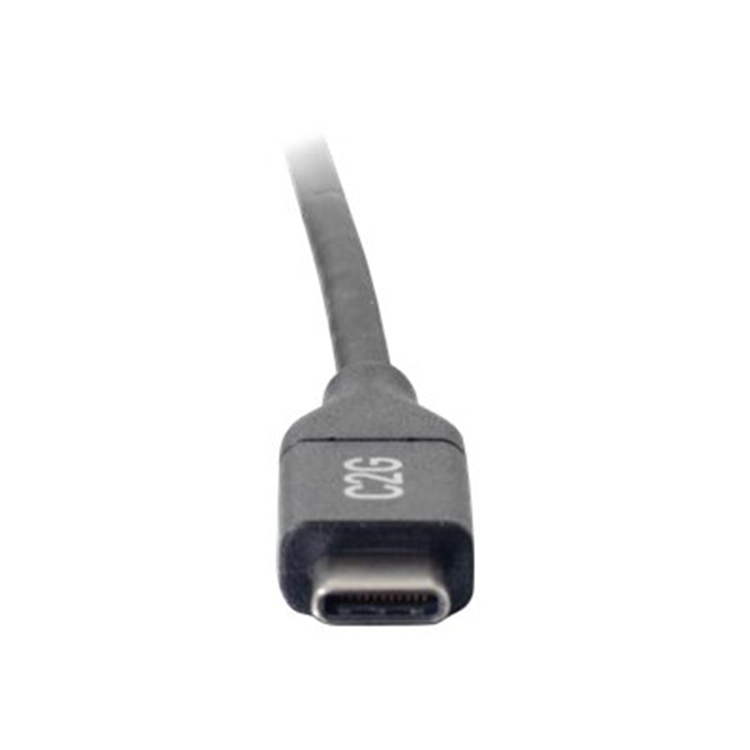 10Ft Usb C To C 2.0 5A