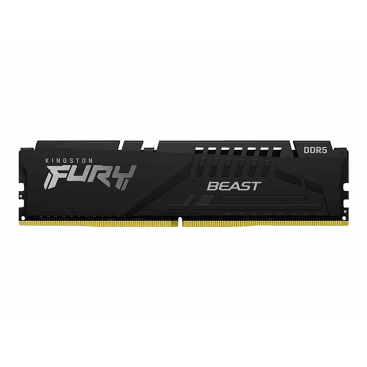 8GB DDR5-5600MTs CL40 DIMM FURY Beast