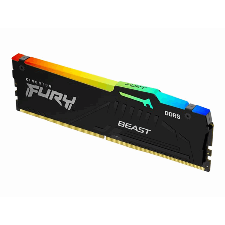 8GB DDR5 6000MT/s CL30 DIMM FURY Beast
