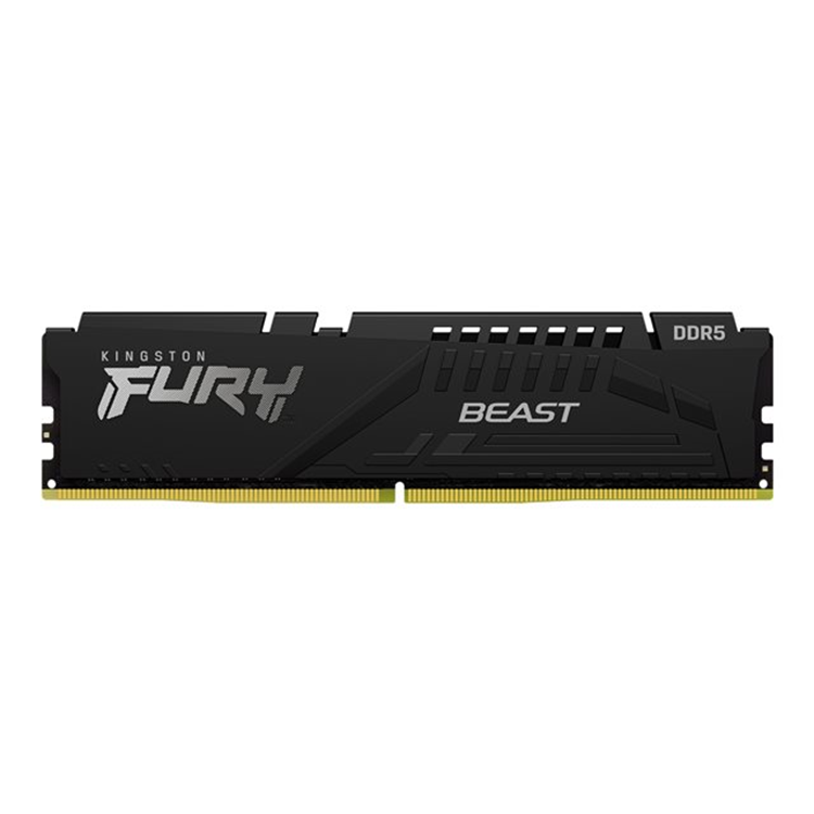 8GB DDR5 6000MT/s CL30 DIMM FURY Beast