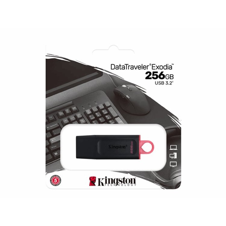 256GB USB3.2 Gen1 DataTraveler Exodia (Black + Pink)