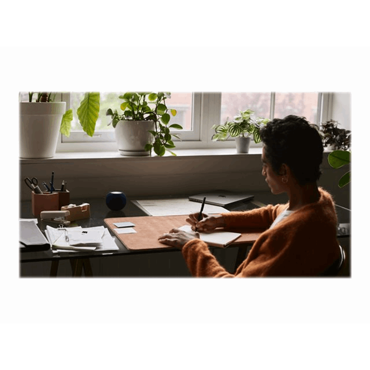 APPLE HomePod mini Blue APPLE HomePod mini Blue