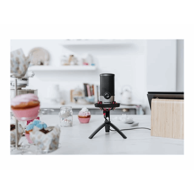 CHERRY UM 6.0 ADVANCED USB MIC for