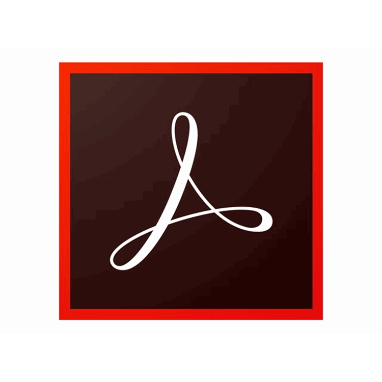 ADOBE VIP Acrobat Std DC Win 12M (EN)