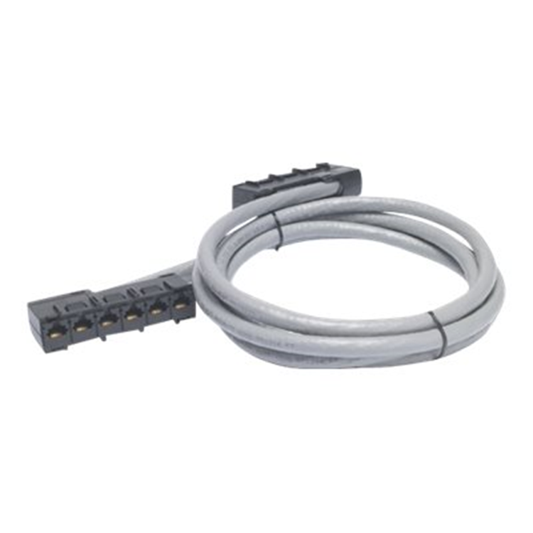 Data Distribution Cable CAT5e UTP CMR Gray 6xRJ-45 Jack to 6xRJ-45 Jack 15ft (4.5m) Data Distribution Cable CAT5e UTP CMR Gray 6xRJ-45 Jack to 6xRJ-45 Jack 15ft (4.5m)