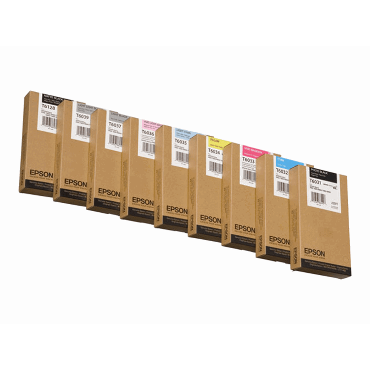 INK CARTRIDGE EPSON T603100 22