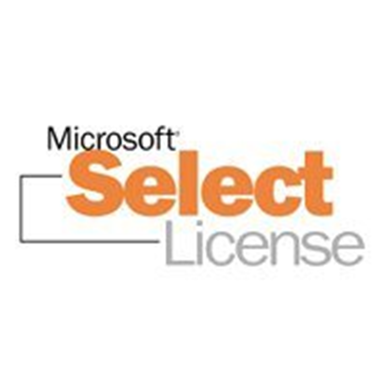 MS SPLA VSTeamFndtnSvr SAL A-STD