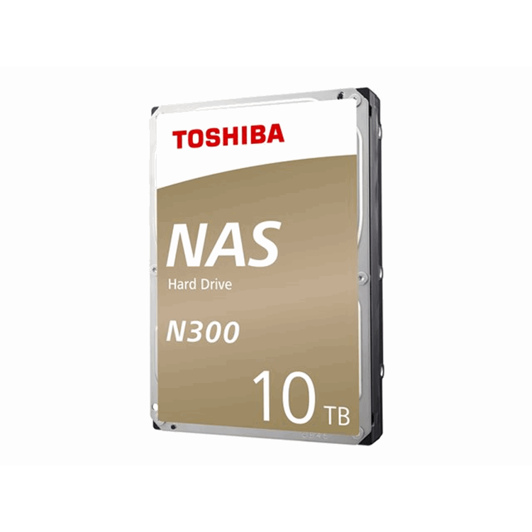 N300 NAS Hard Drive 10TB (256MB)