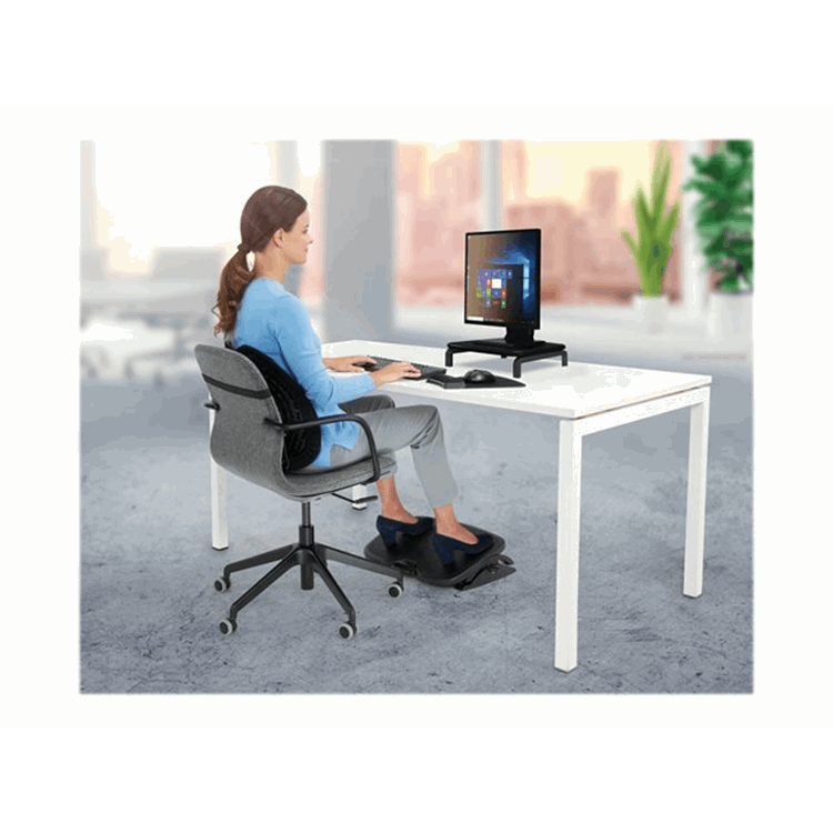 Privacy Filter 2-Way Removable 19.5in Wi