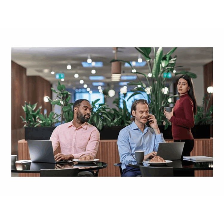 Privacy Filter 2-Way Removable 35.6cm 14