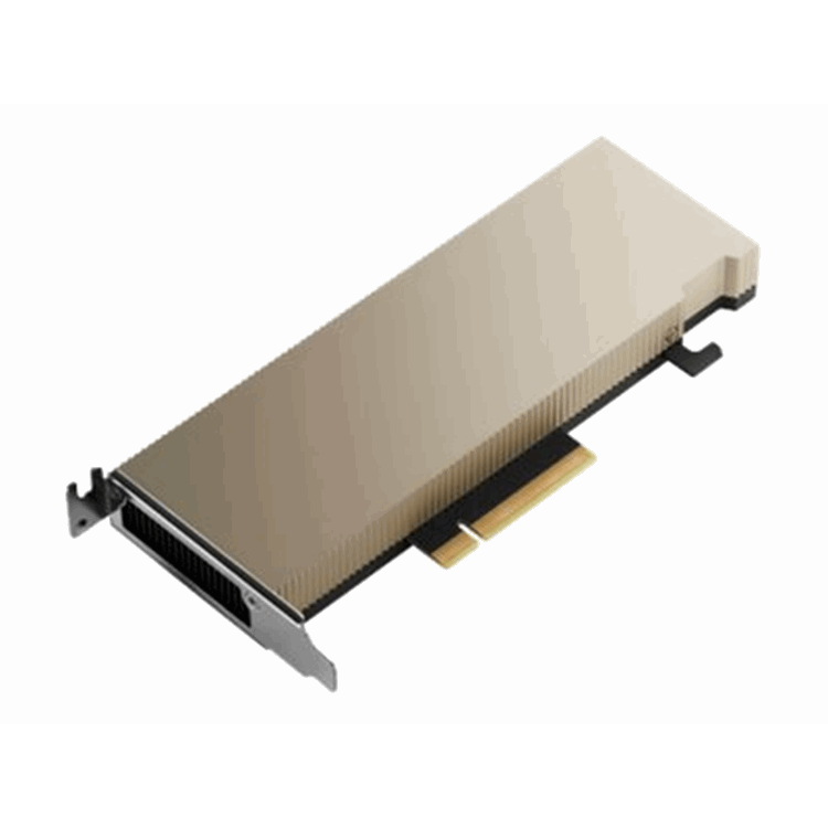 A2 16GB PCIe Gen4 Pas