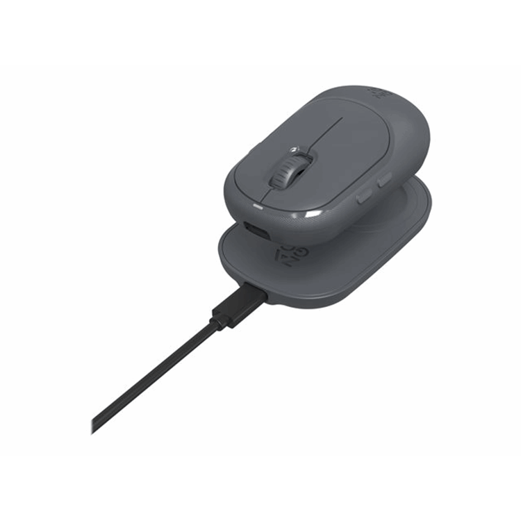 ACCESSORIES PROMOUSE WIRELESS MOUSE W