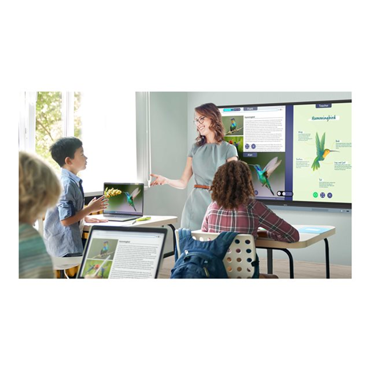 BENQ RM6504 65inch EDLA with Android 13