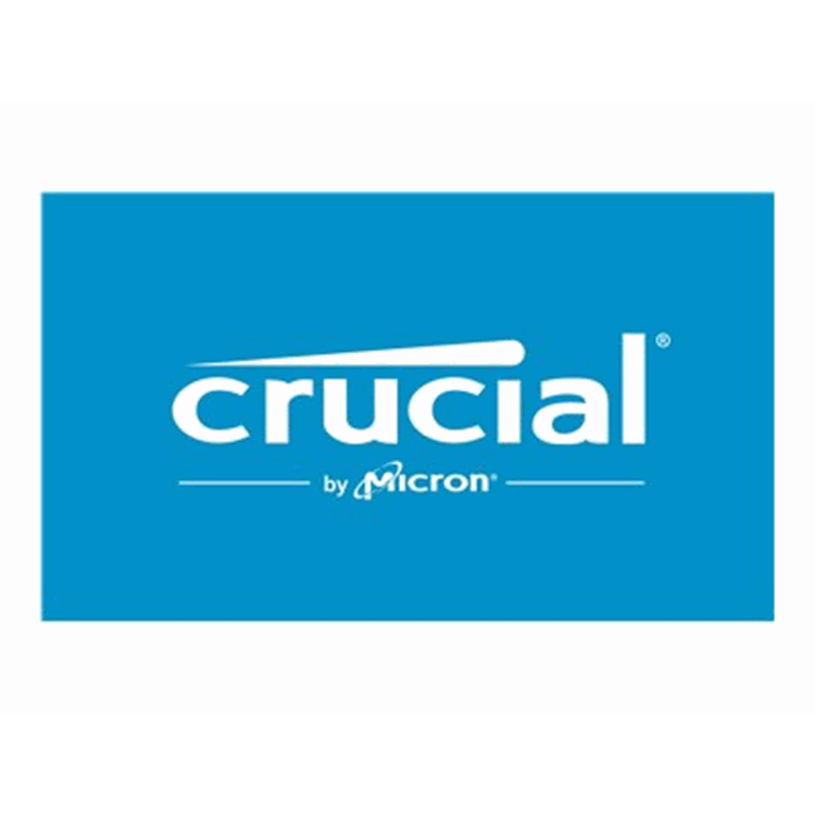 Crucial P3 1TB NVMe PCIe M.2 SSD TRAY