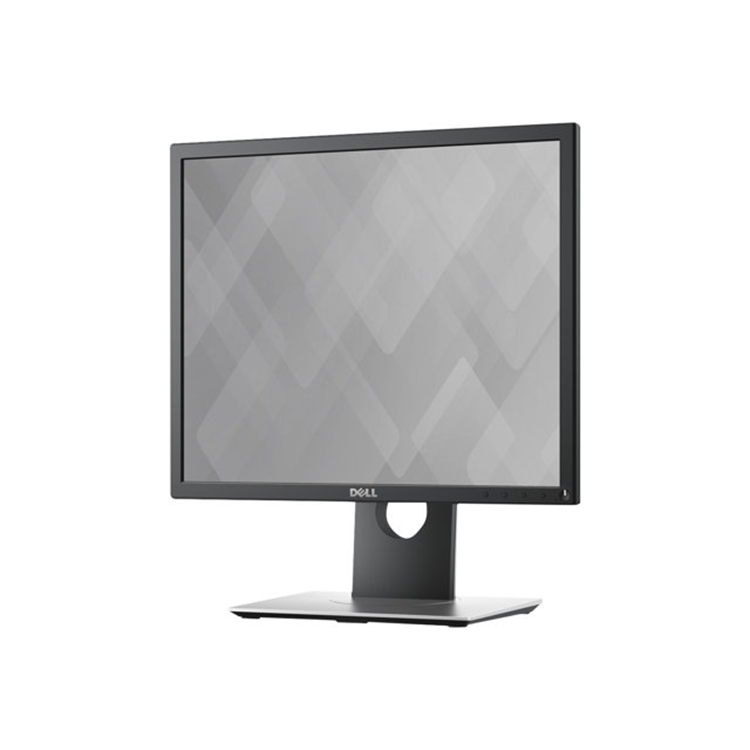 Dell 19 Monitor P1917S 48cm Black EURC
