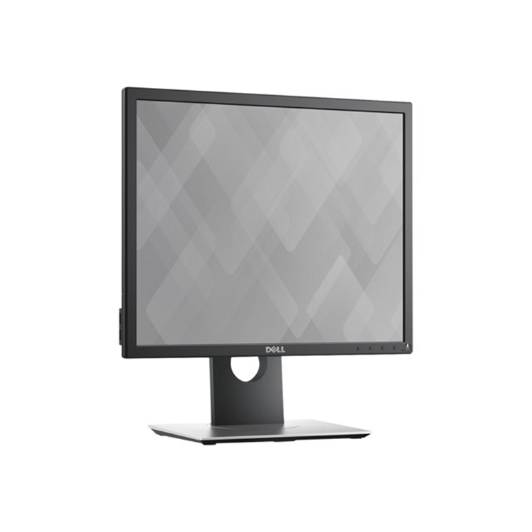 Dell 19 Monitor P1917S 48cm Black EURC