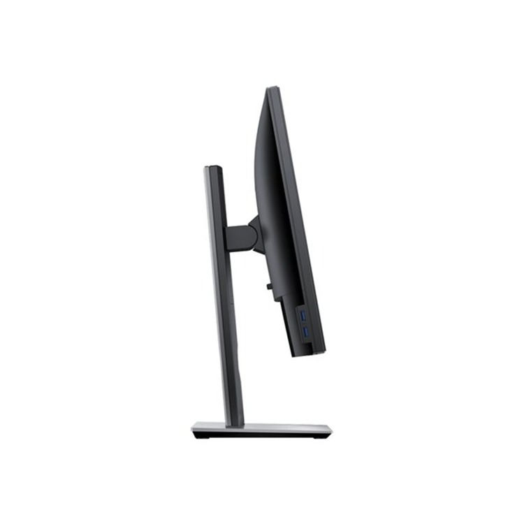 Dell 19 Monitor P1917S 48cm Black EURC