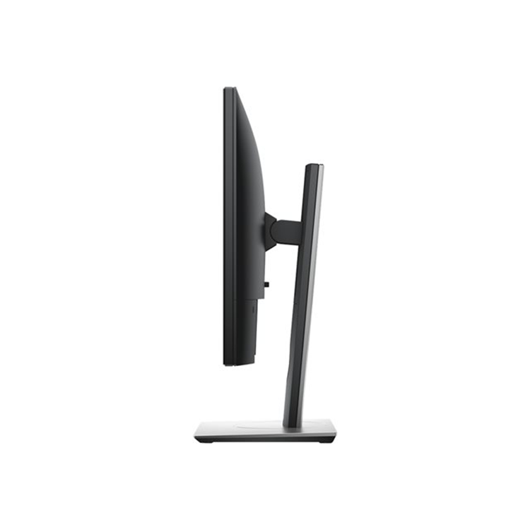 Dell 19 Monitor P1917S 48cm Black EURC