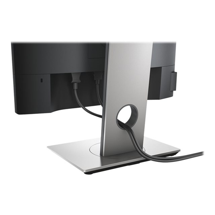 Dell 19 Monitor P1917S 48cm Black EURC