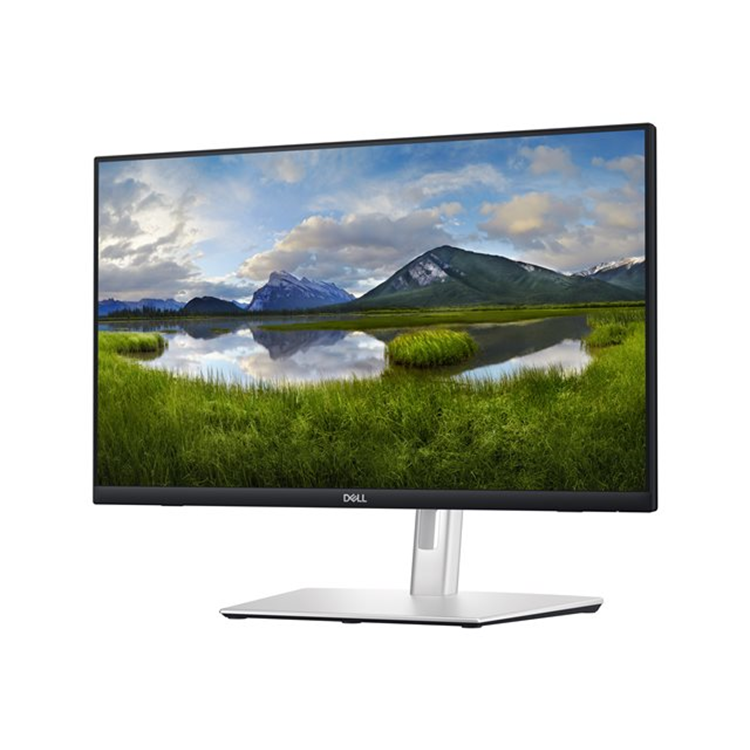 Dell 24" Touch Monitor - P2424HT