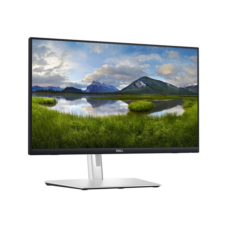 Dell 24" Touch Monitor - P2424HT