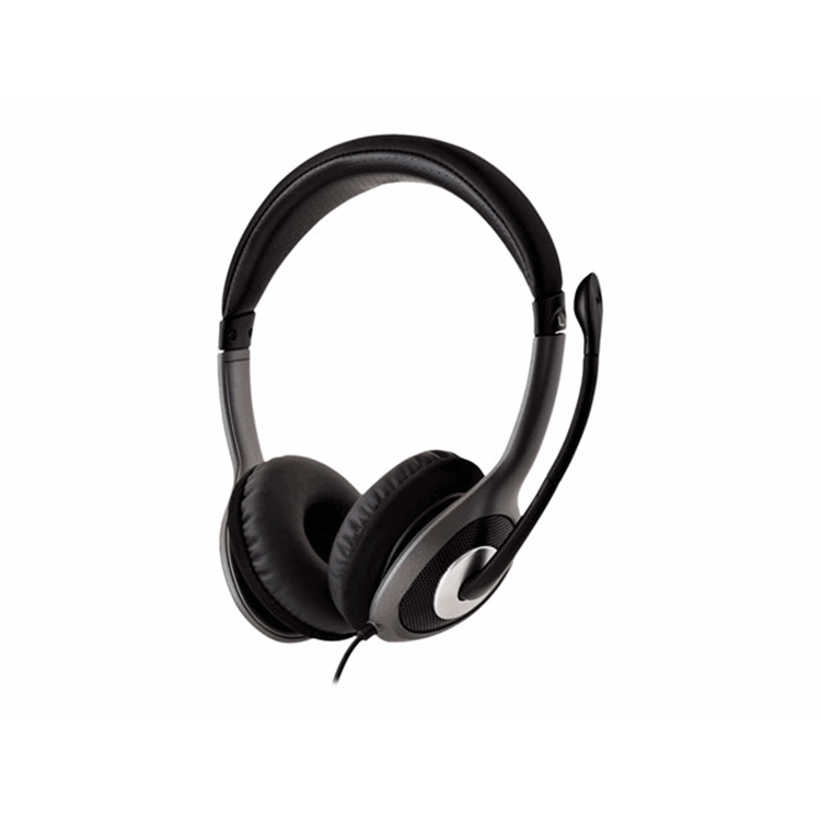 DELUXE USB HEADSET W/MIC