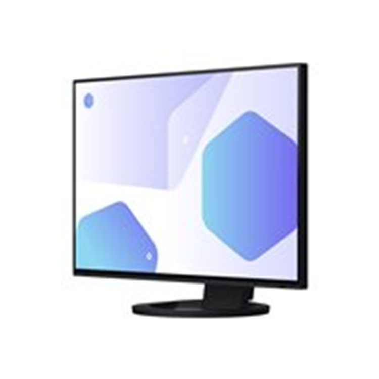 EIZO 24inch IPS LCD 1920x1200