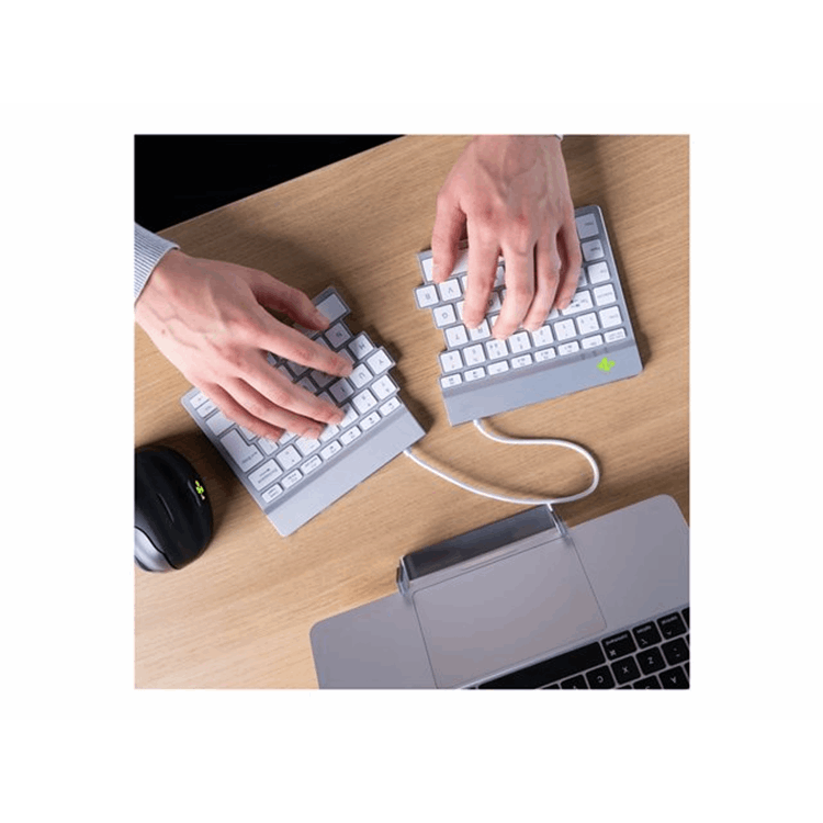 ErgonomicKB Split QWERTY(ND) Bluet white