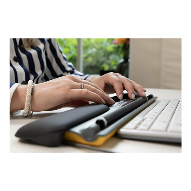 ErgoSlider+Central Mouse