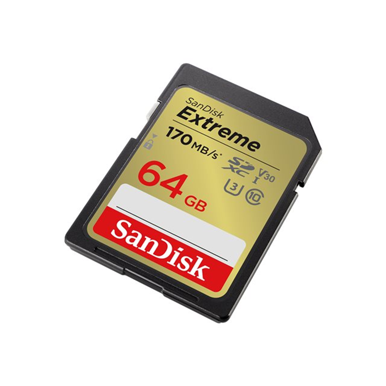 Extreme 64B SDHC Memory Card 170MB/s 10