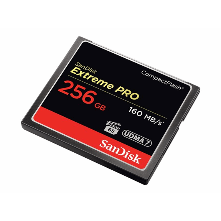ExtremeProCF 160MB/s 256GB VPG 65 UDMA 7