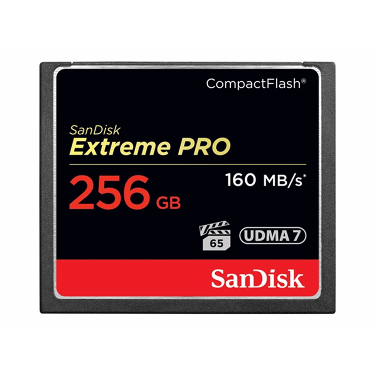 ExtremeProCF 160MB/s 256GB VPG 65 UDMA 7
