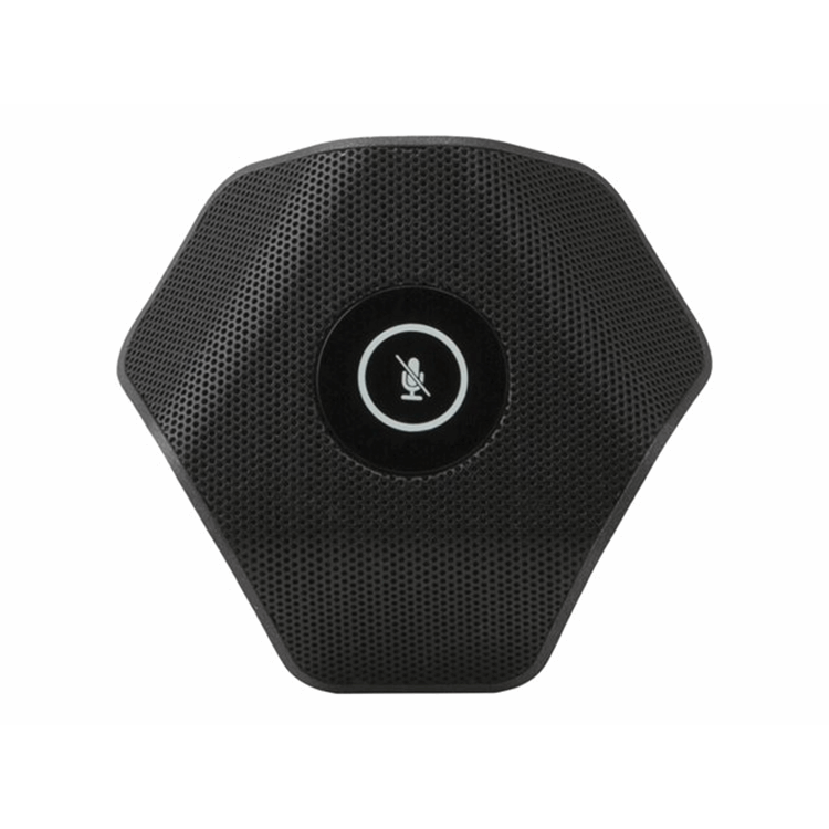 Flex Tabletop LargeRoomVC f ZoomRooms SW