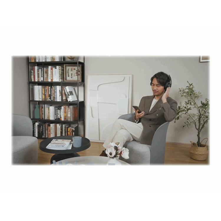 H3000 Bluetooth Headset
