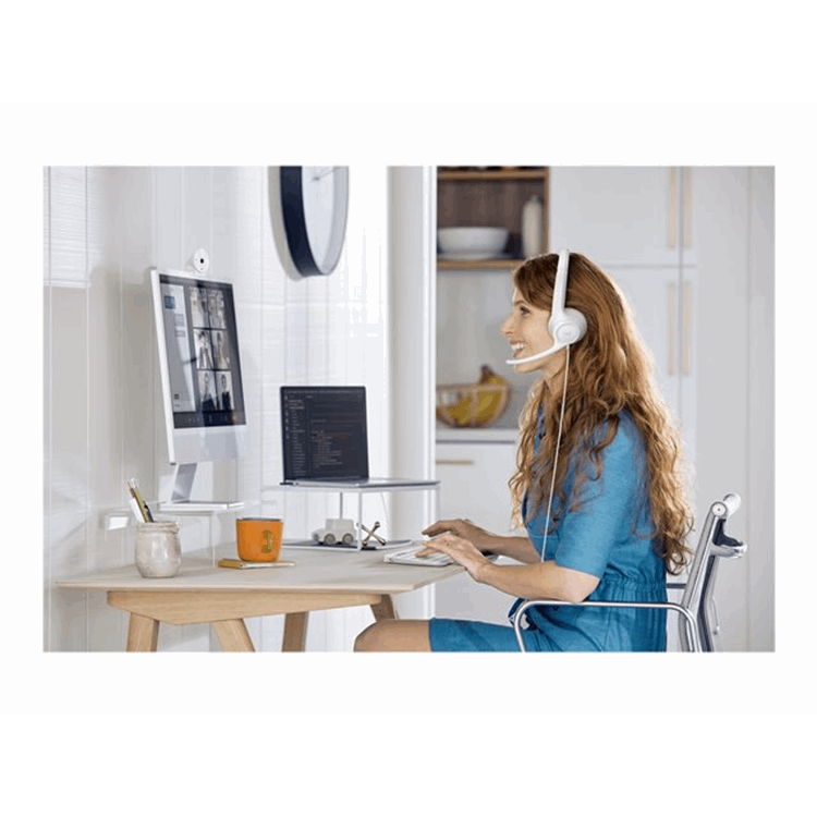 H390 USB Computer Headset - OFF-WHITE -EMEA-914 H390 USB Computer Headset - OFF-WHITE -EMEA-914