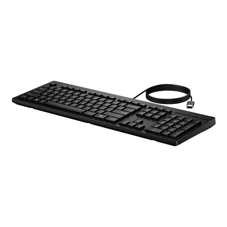 HP 125 G2 USB WD KBD