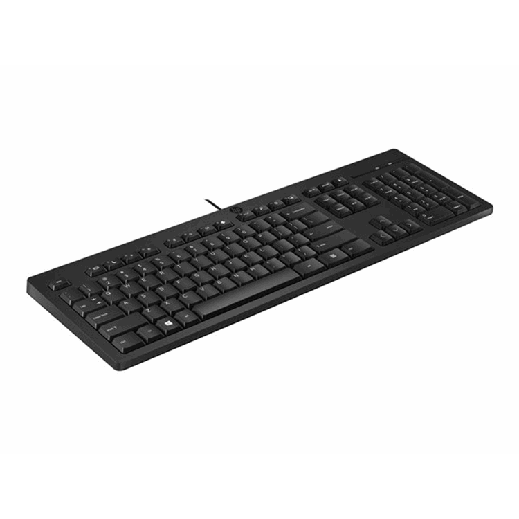 HP 125 USB WD Keyboard (Bulk 12) Europe