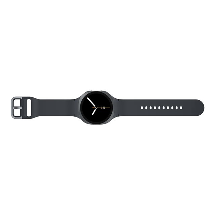 L325 GALAXY WATCH8 40MM LTE GRAPHITE