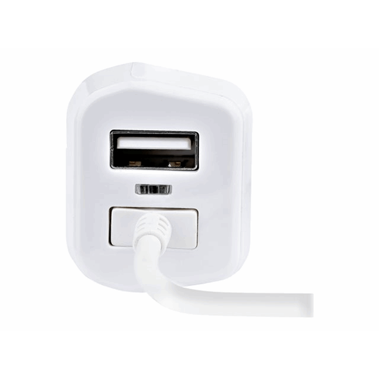 Lightning Car Charger w/ Cable 2 Ports