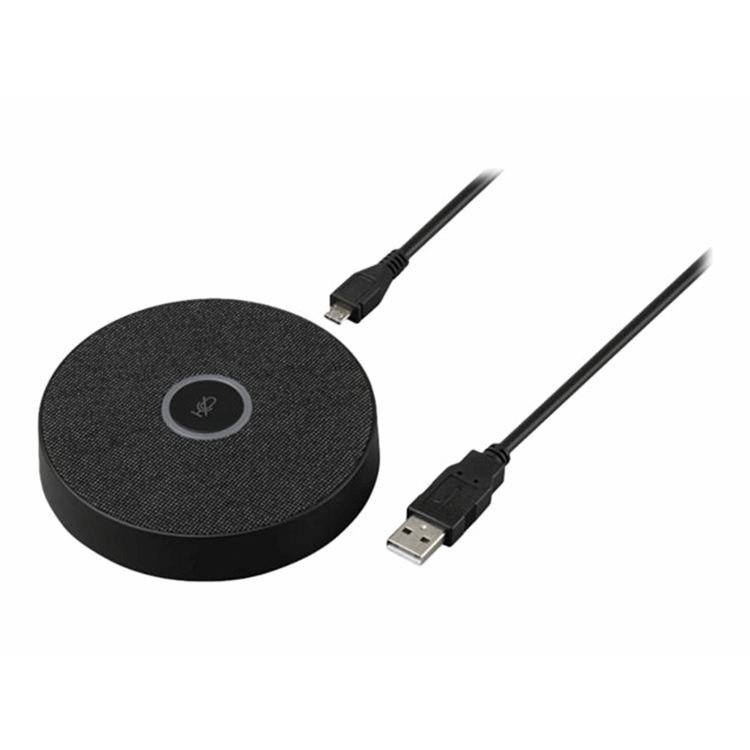 Microphone extension for VB-CAM-201-2