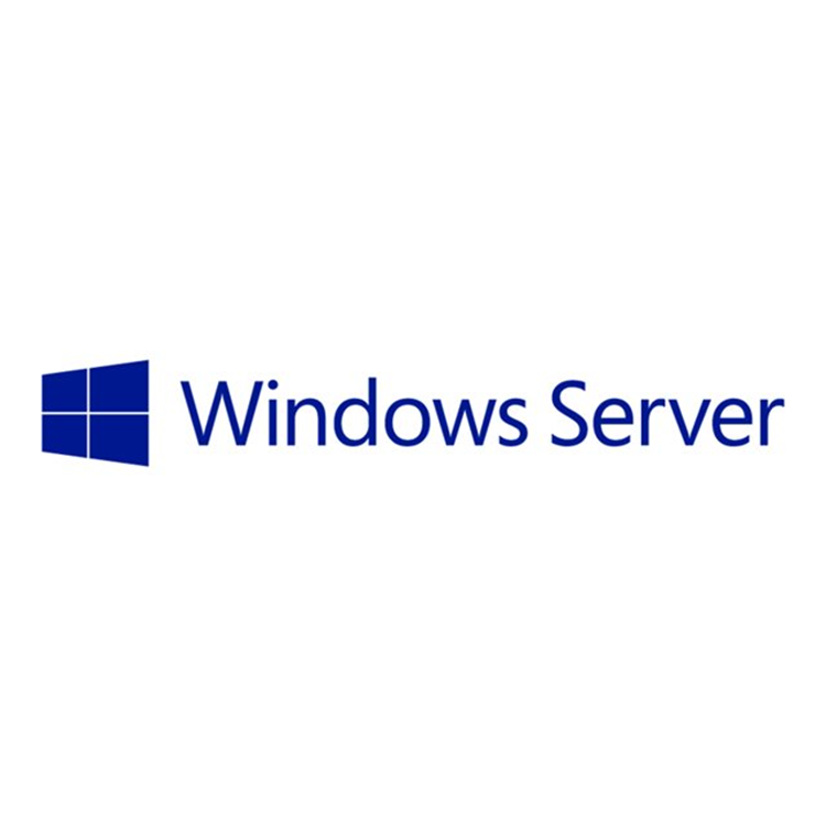 Microsoft Win Server External ConnectorSingle Language Software Assurance OpenValue No Level 2 Years