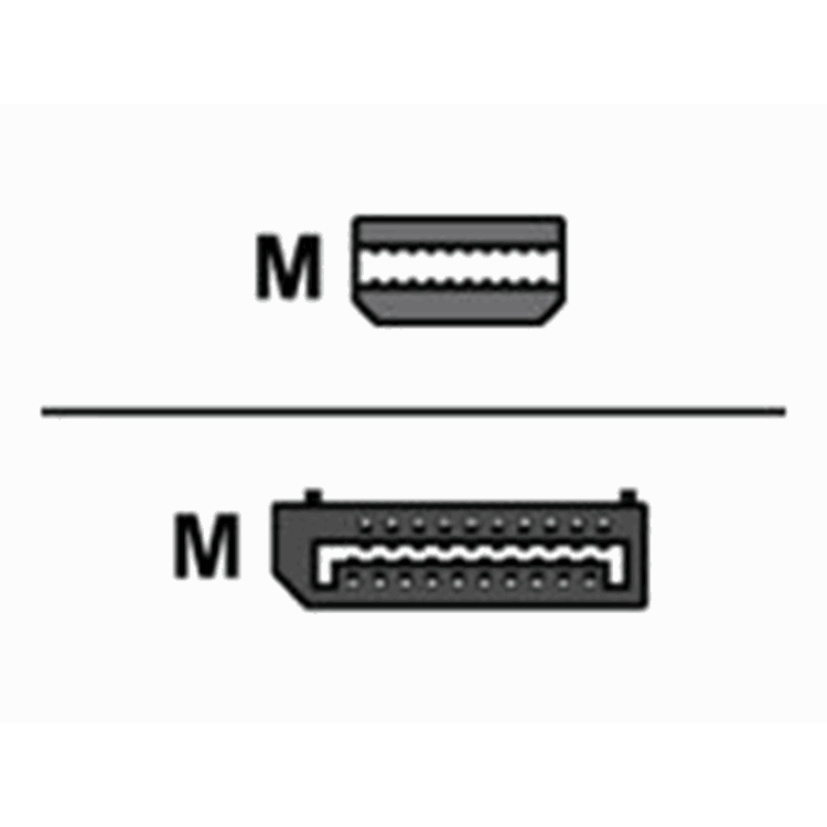 Mini-DisplayPort To DisplayPort Adapt