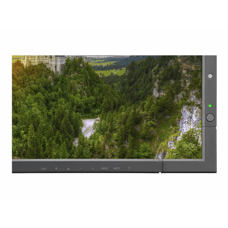 MultiSync X981UHD-2