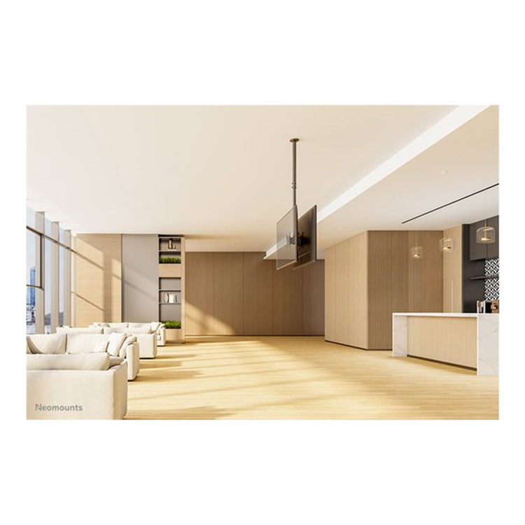 NEOMOUNTS Back-to-Back Ceiling Mount