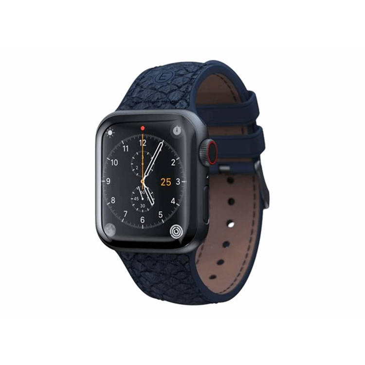 Njord Vatn Watch Strap for Apple Watch 4