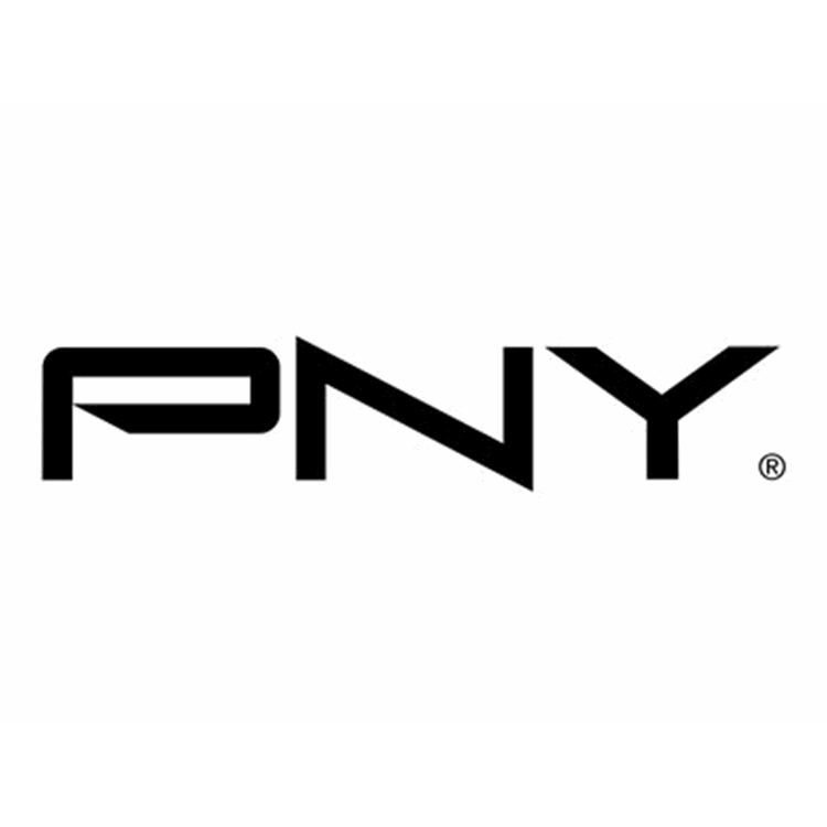 PNY GeForce RTX 3060 12GB