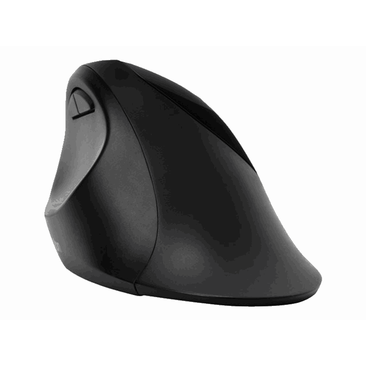 Pro Fit Ergo Wireless Mouse