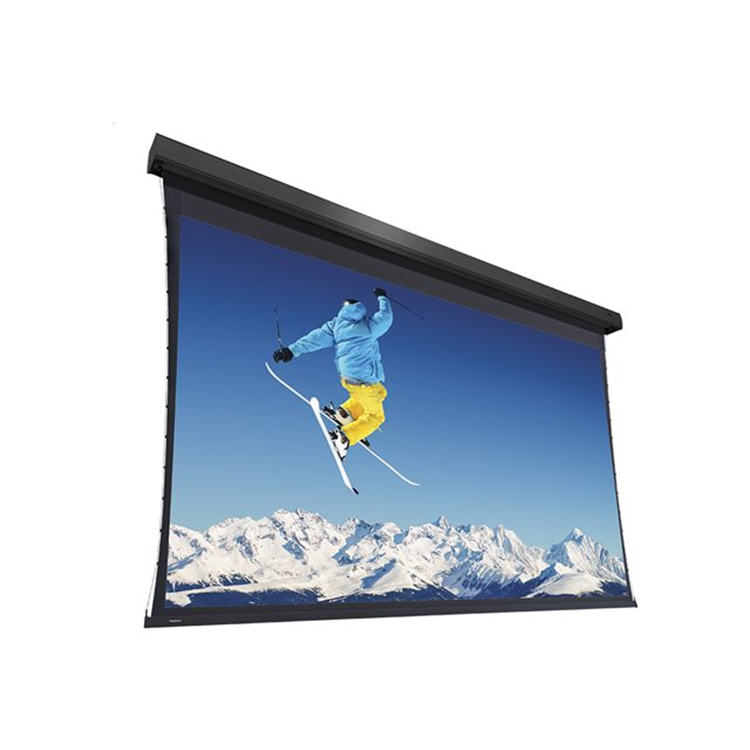 Projecta Extensa WS 431x690 Parallax Str