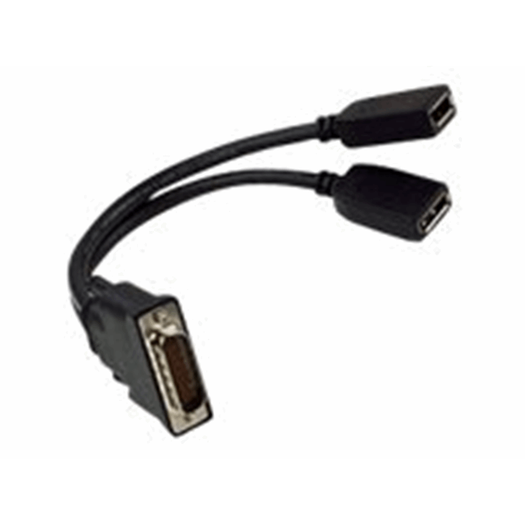 Quadro DMS59 to Dual DP Cable