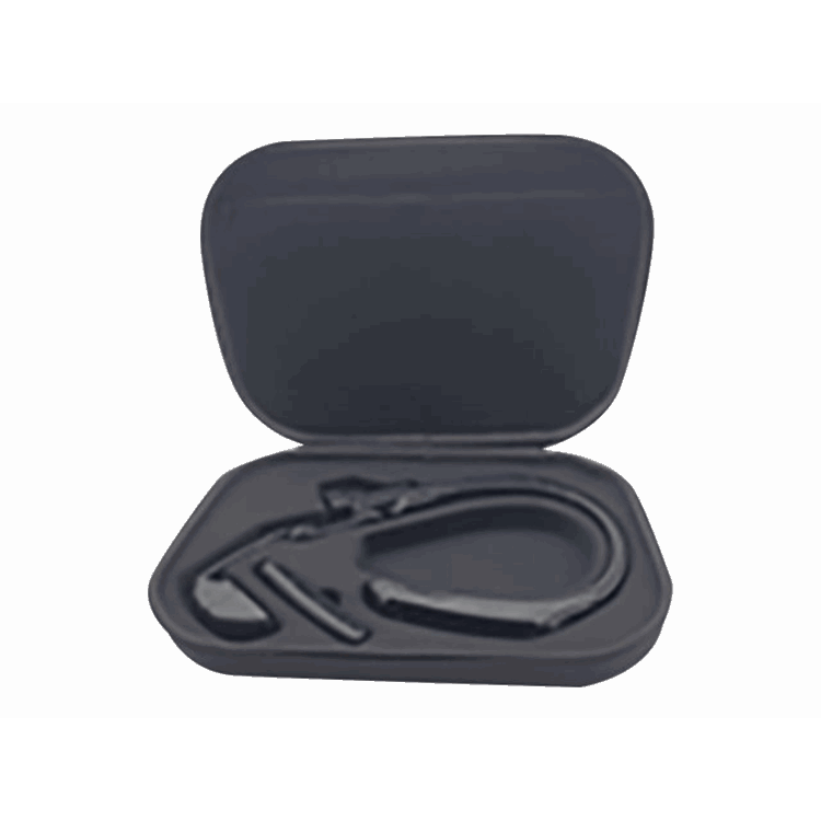 REALWEAR Protective Carrying Case